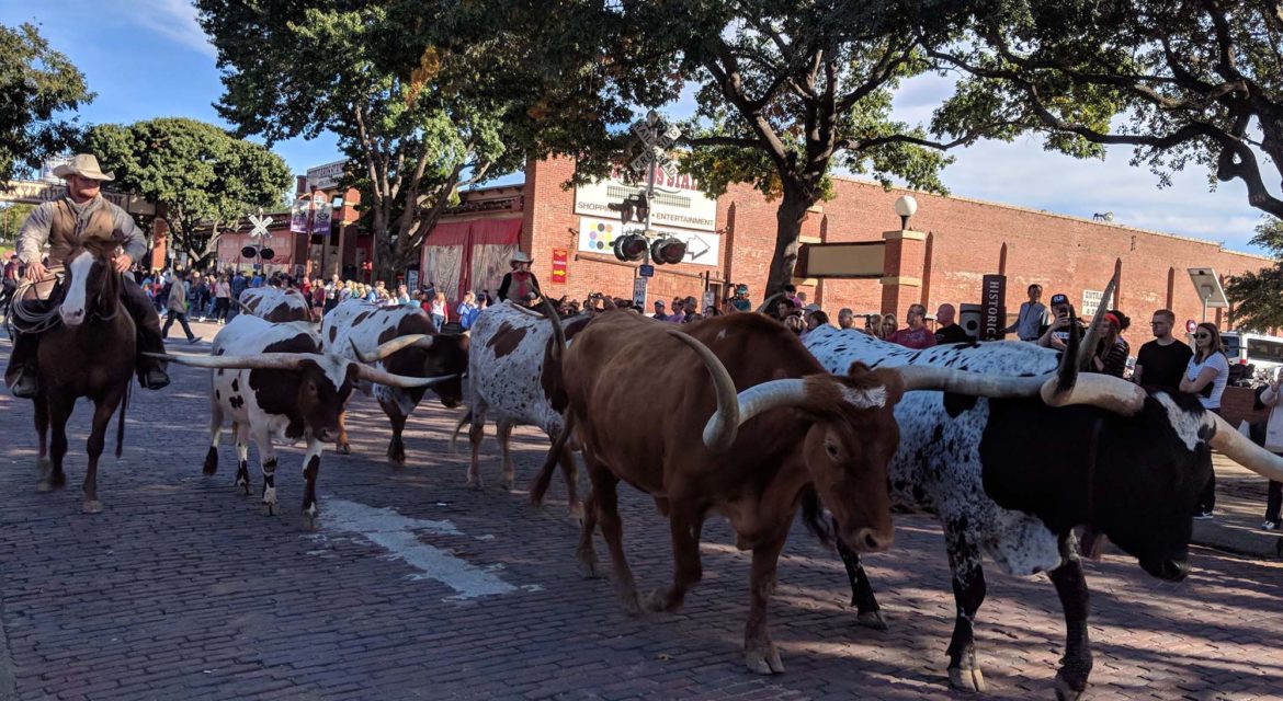 Stockyards National Historic District in Fort Worth