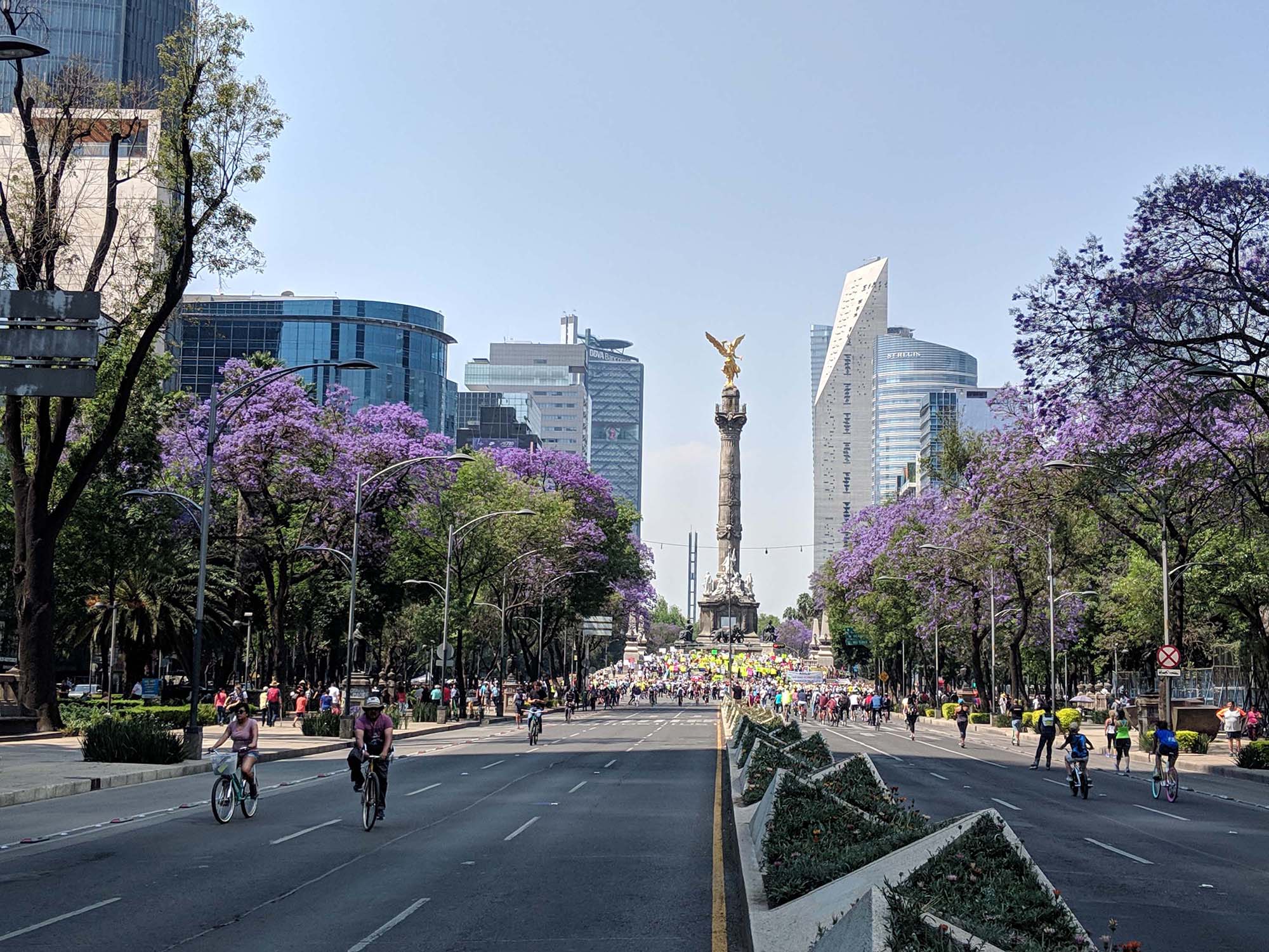 paseo-de-la-reforma-connects-the-culture-and-economy-of-mexico-city