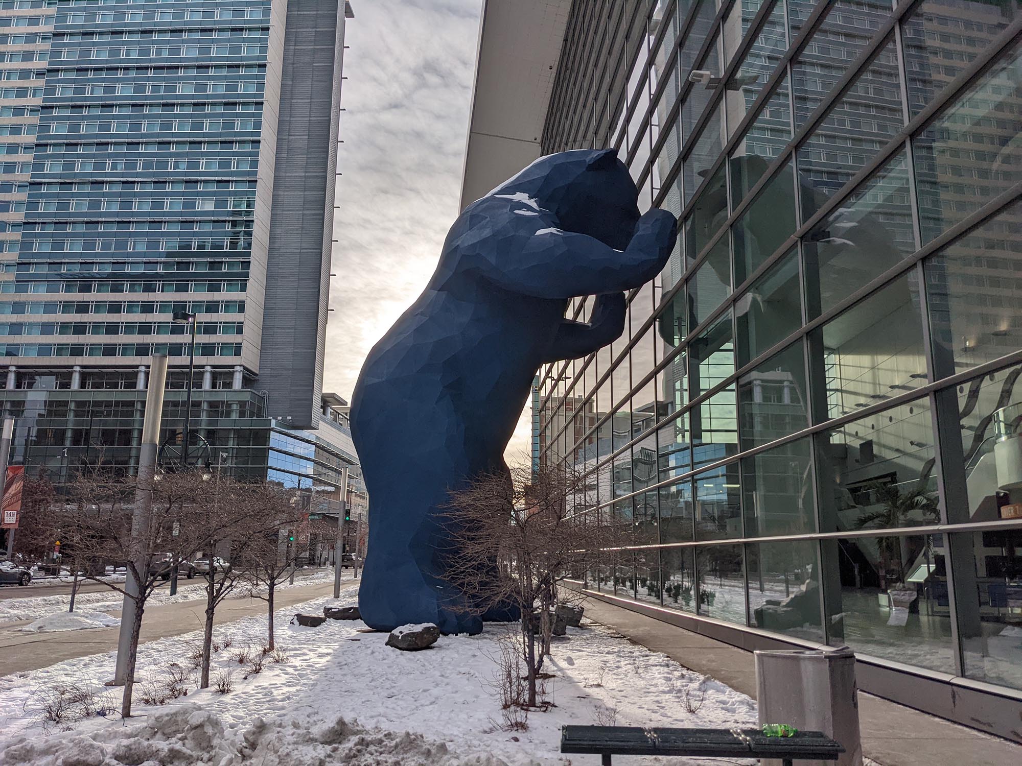 A Sense of Connection, Wonder and Community Allow the Big Blue Bear to